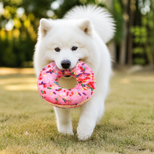 Dog Toy Doughnut Pizza Shape