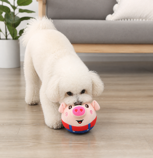 Jumping Pig Interactive Dog Toy