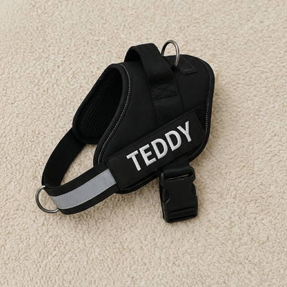 Personalized No-Pull Dog Harness with Front D-Ring – Designed for Neck & Shoulder Relief