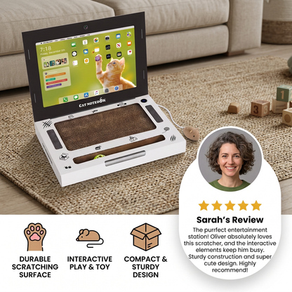 Cardboard Laptop Cat Scratcher & Interactive Toy