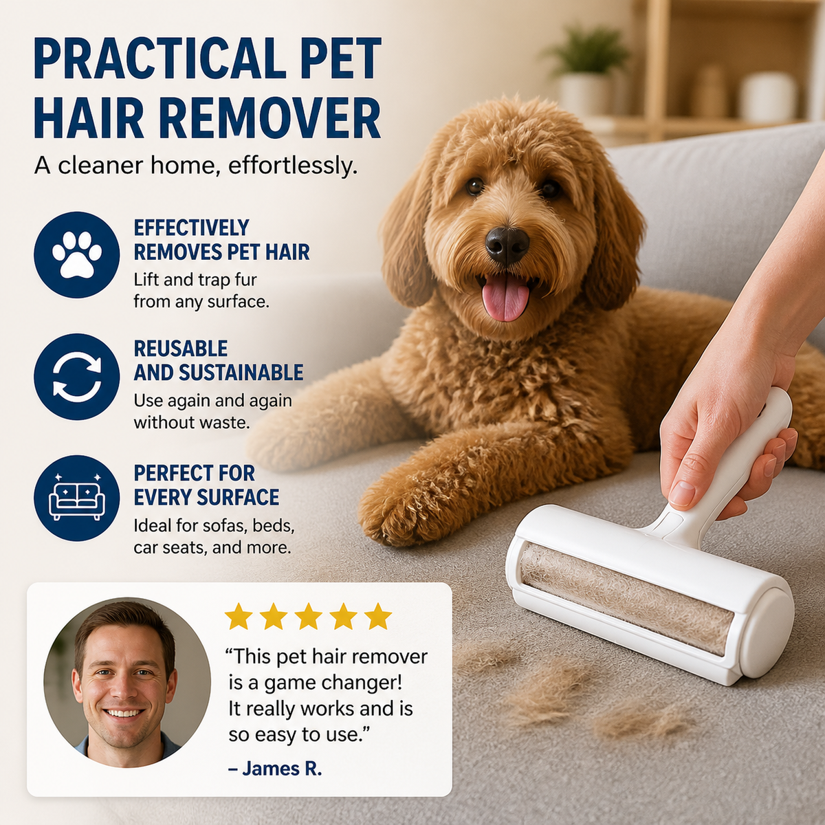Practical Pet Hair Remover