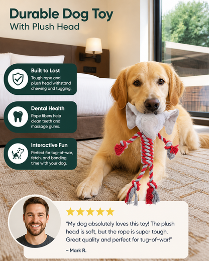 Durable Dog Toy With Plush Head