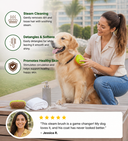 Steam Brush For Pets