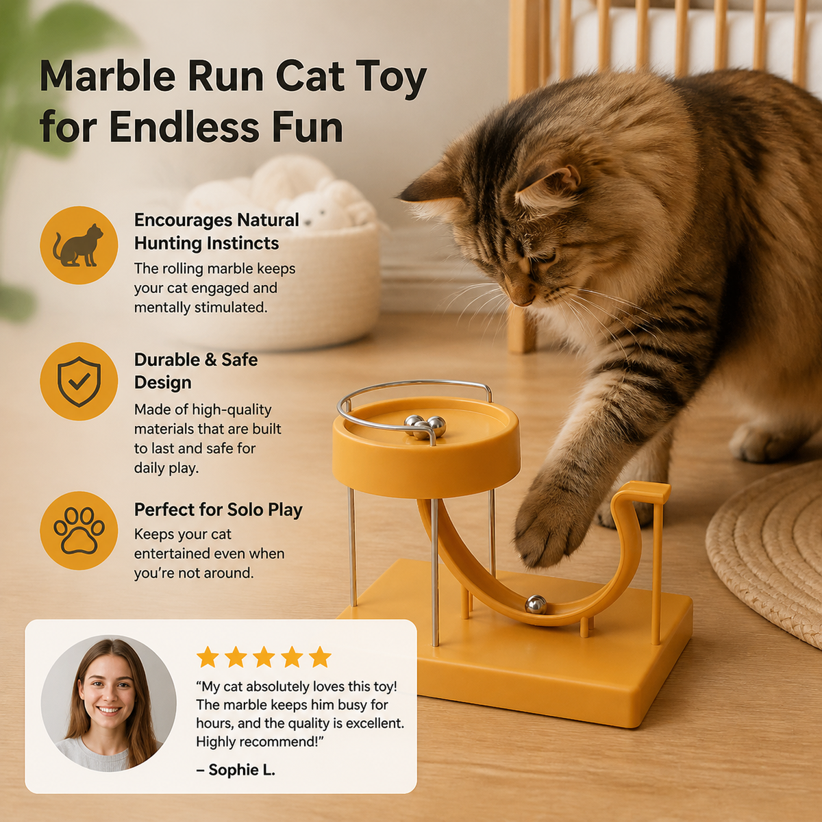 Marble Run Cat Toy for Endless Fun