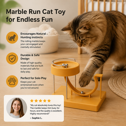 Marble Run Cat Toy for Endless Fun