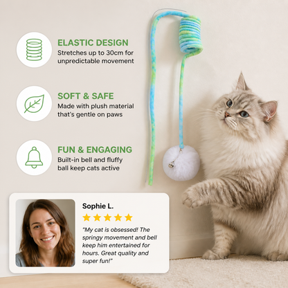 Interactive cat elastic toy